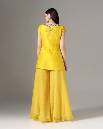 Yellow Raw Silk & Chiffon Stone Embroidered Jacket Set