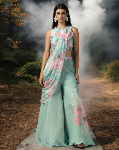 Draped Saree