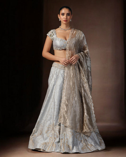 Embroidered Lehenga with Tissue Dupatta