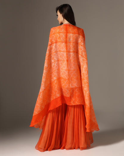 Orange Organza & Chiffon Embroidered Kurta Set