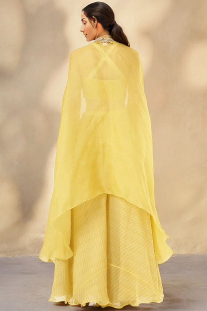 Butter Yellow Organza & Chiffon Sharara Set