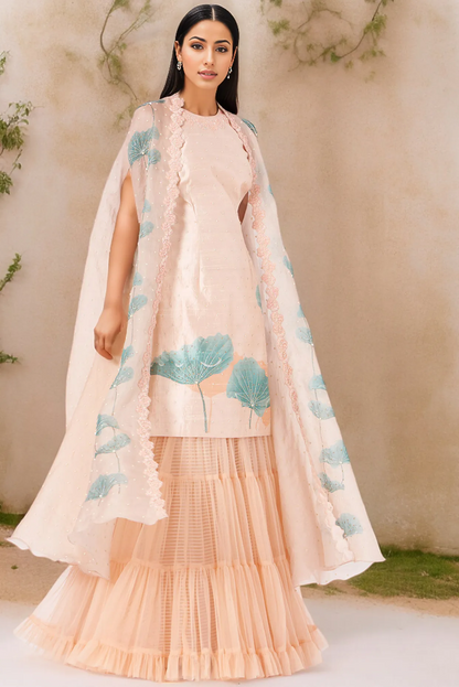 Peach Net Sharara Set