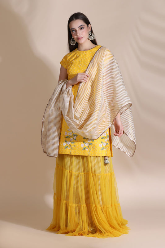 Pearl Work Kurti with Sharara and